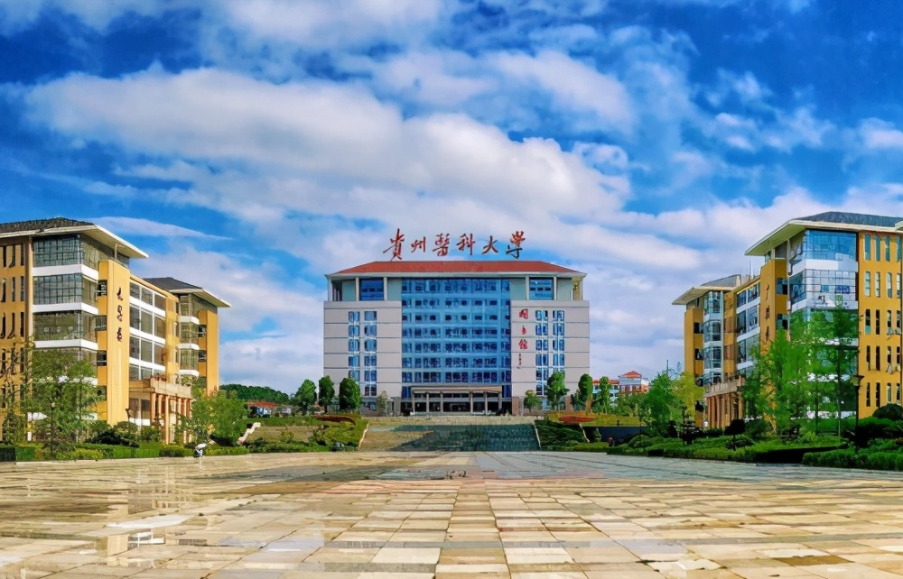 貴州醫科大學機房監控項目