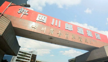 四川郎酒集團機房監(jiān)控項目